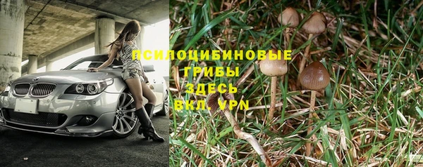 молекула духа Няндома