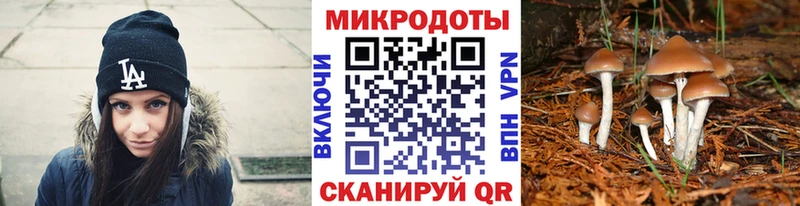где можно купить наркотик  гидра рабочий сайт  Псилоцибиновые грибы мицелий  Новоаннинский 